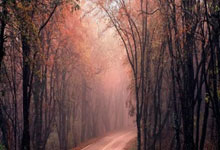 DeepSeek写的？成都官宣文案中漏写廖力生母队东莞同舟南城.