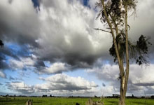 😀借助大雾3分钟连入2球，莱斯特城暂3-1女王公园巡游者.