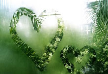 pg试玩官网：张玉宁回防的时候似乎踩了对手一脚，但是裁判没有判罚.