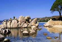 pg试玩官网：短道速滑——世锦赛：男子1500米A组决赛赛况.